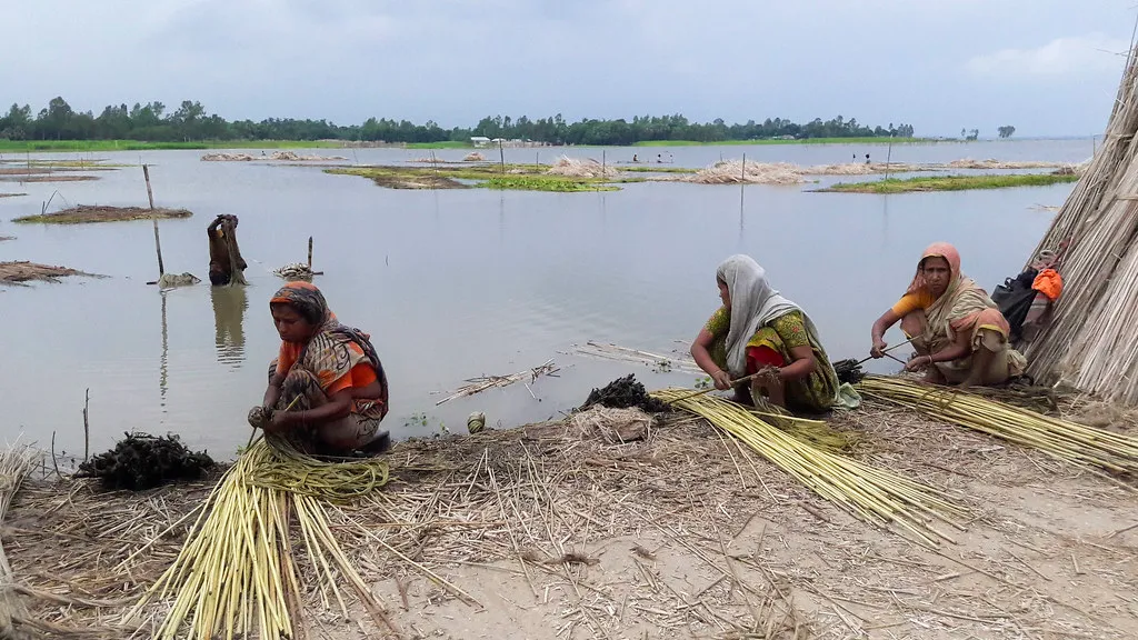 Women sitting on a riverbank in Bangladesh peeling jute fibre from retted stalks